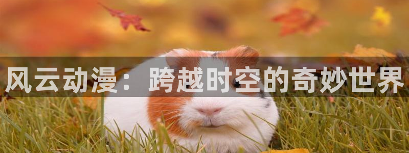 香蕉成熟时3为你钟情