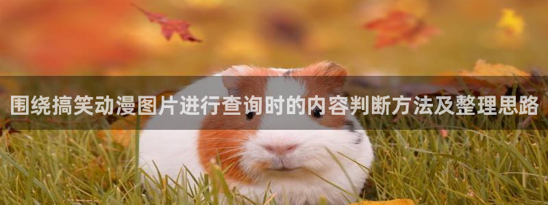 香蕉成熟时3：围绕搞笑动漫图片进行查询时的内容判断方法及整理思路