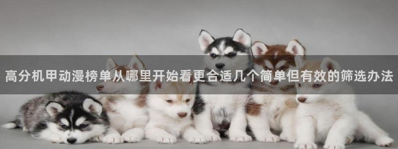 记得香蕉成熟时 插曲